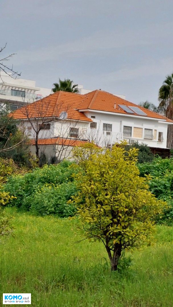 תמונה למודעה
