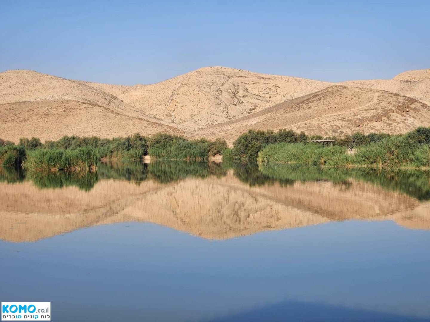 תמונה למודעה
