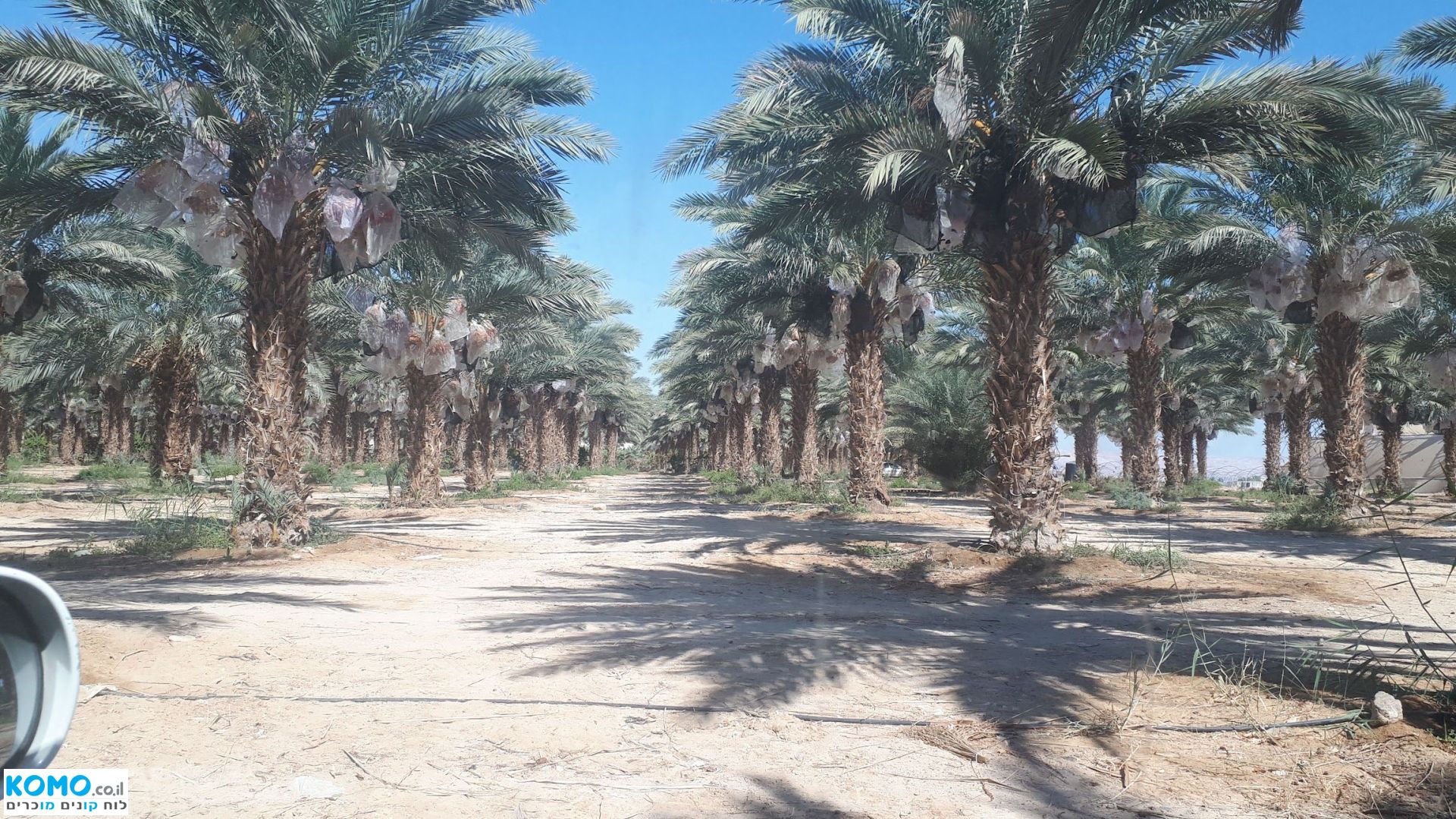 תמונה למודעה
