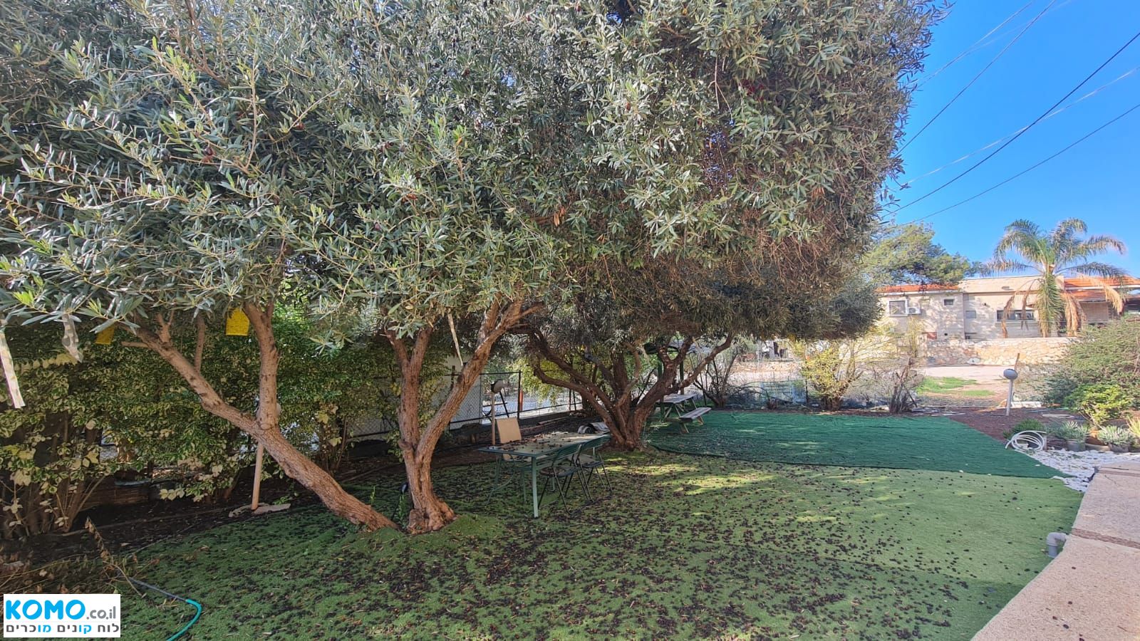 תמונה למודעה