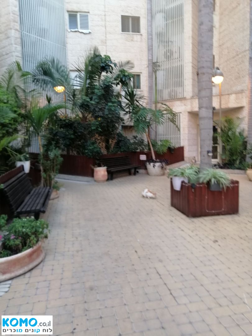 תמונה למודעה