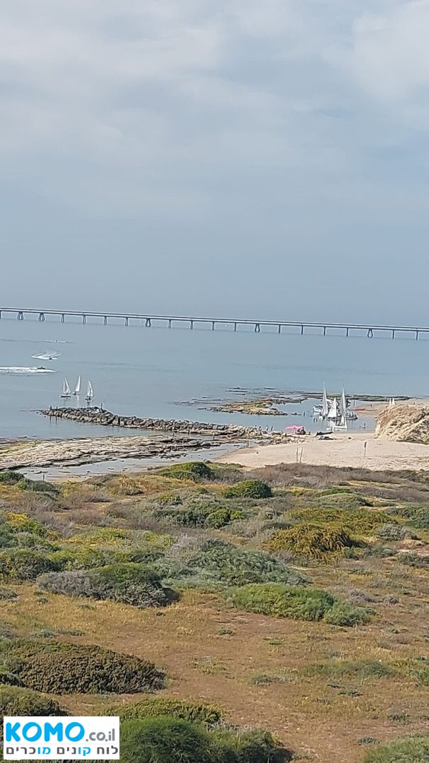 תמונה למודעה