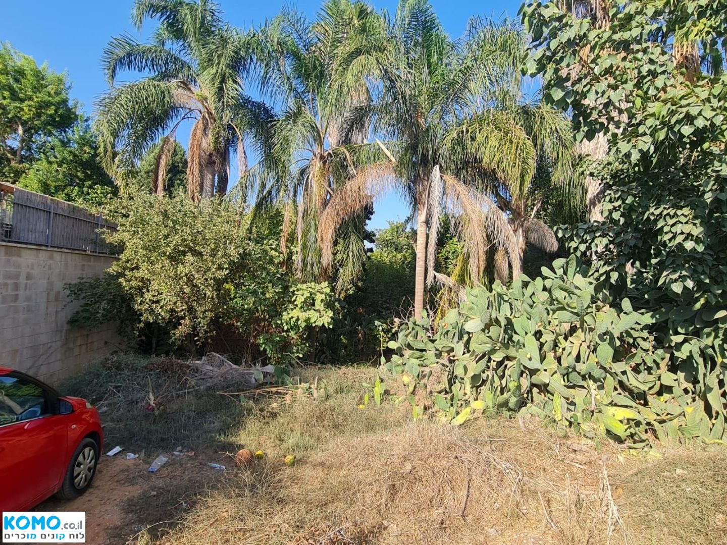 תמונה למודעה