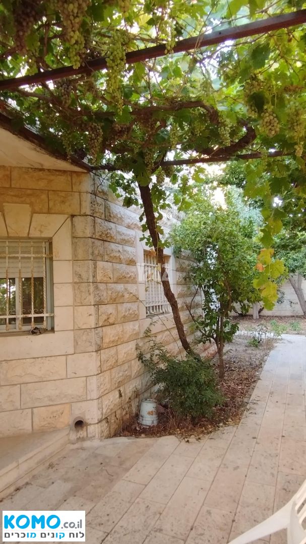 תמונה למודעה