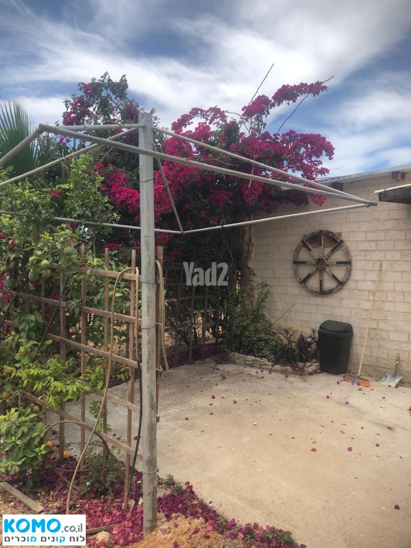 תמונה למודעה