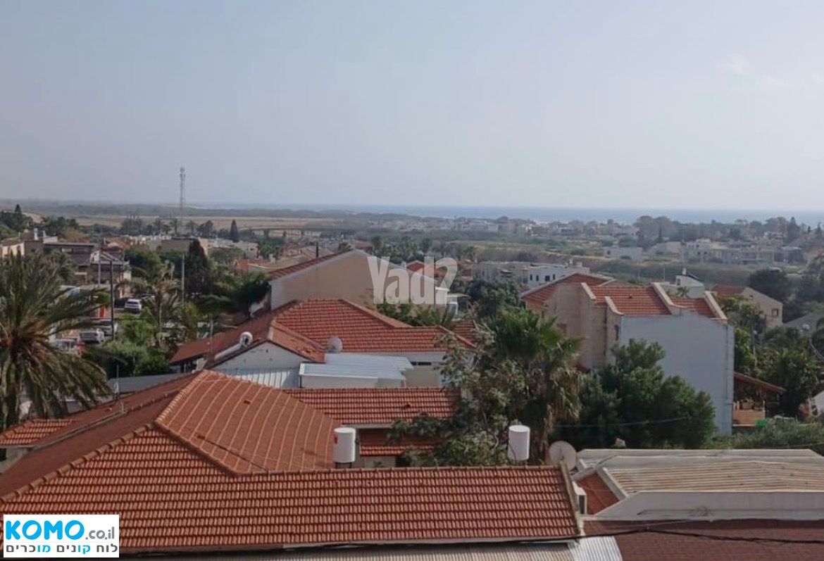 תמונה למודעה