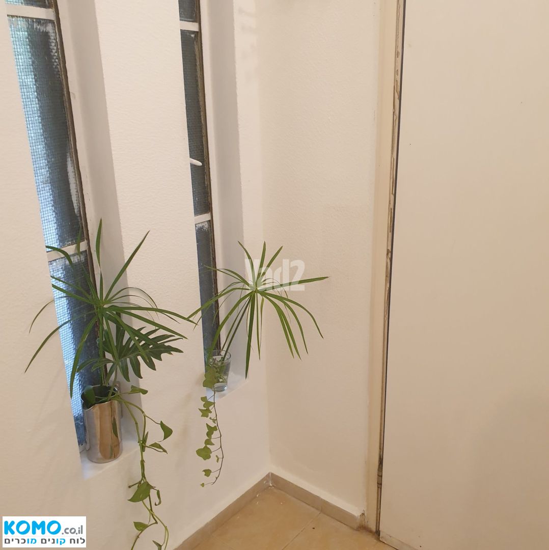 תמונה למודעה