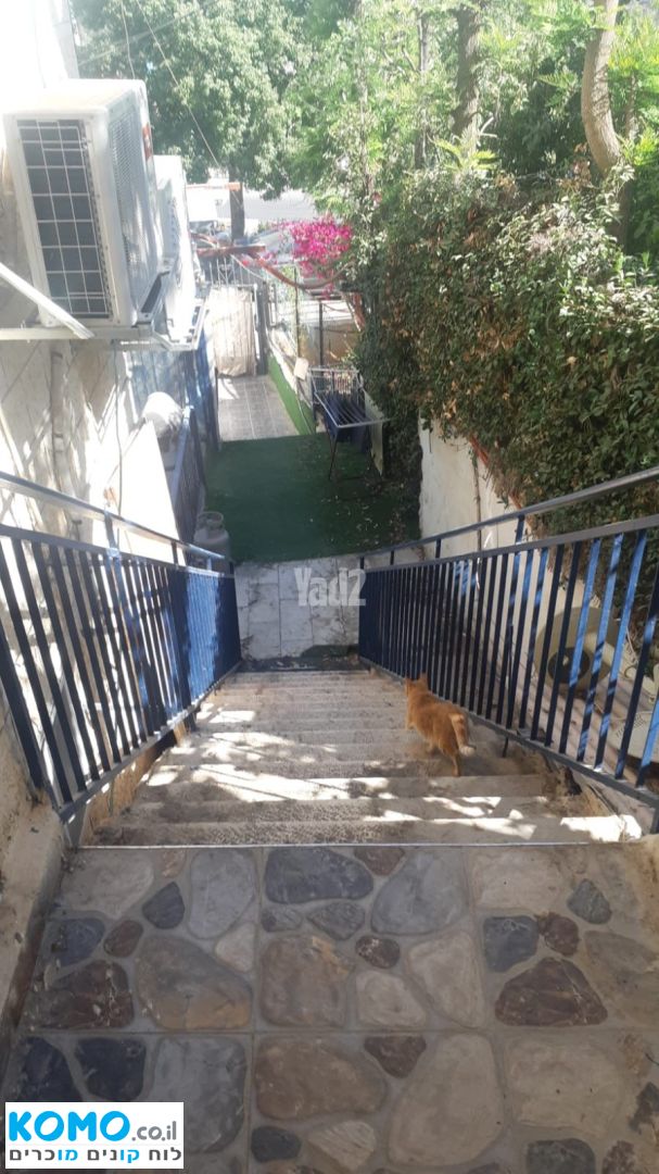 תמונה למודעה