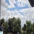 תמונה ראשית