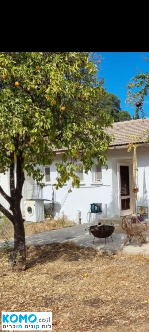 תמונה למודעה