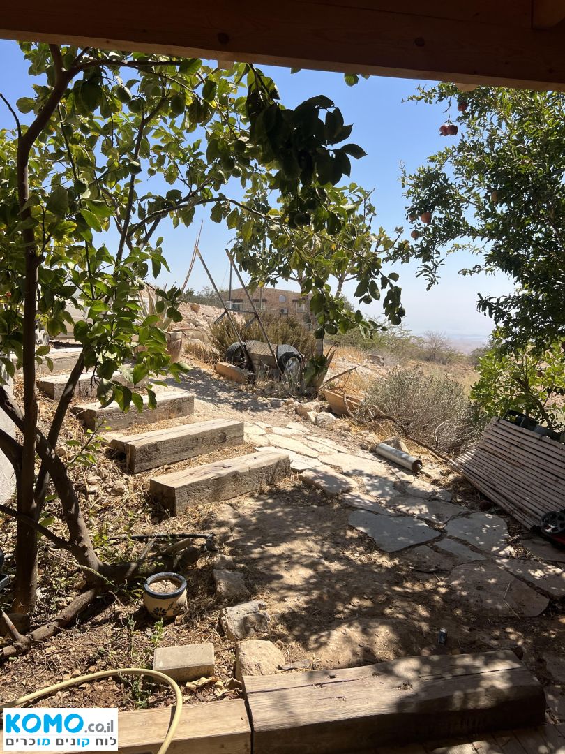 תמונה למודעה