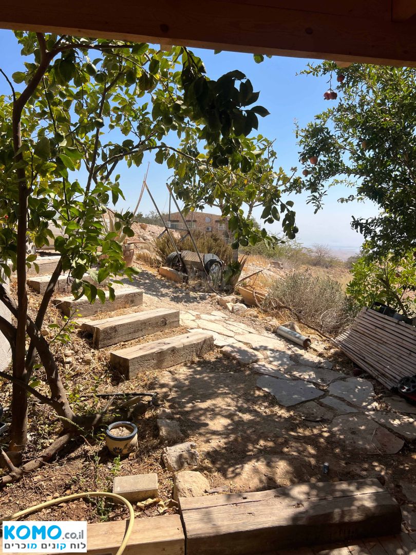 תמונה למודעה
