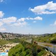 תמונה ראשית
