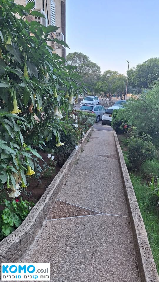 תמונה למודעה