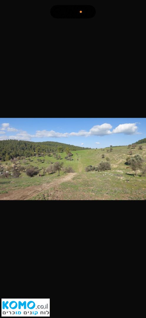 תמונה למודעה