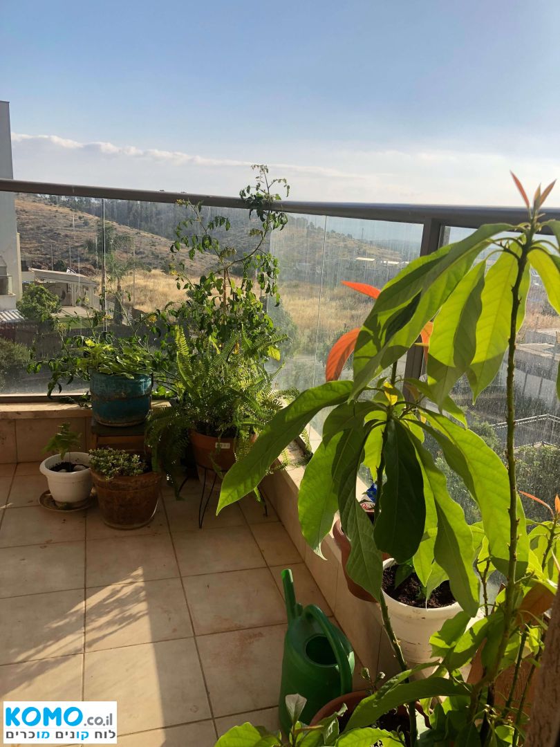 תמונה למודעה