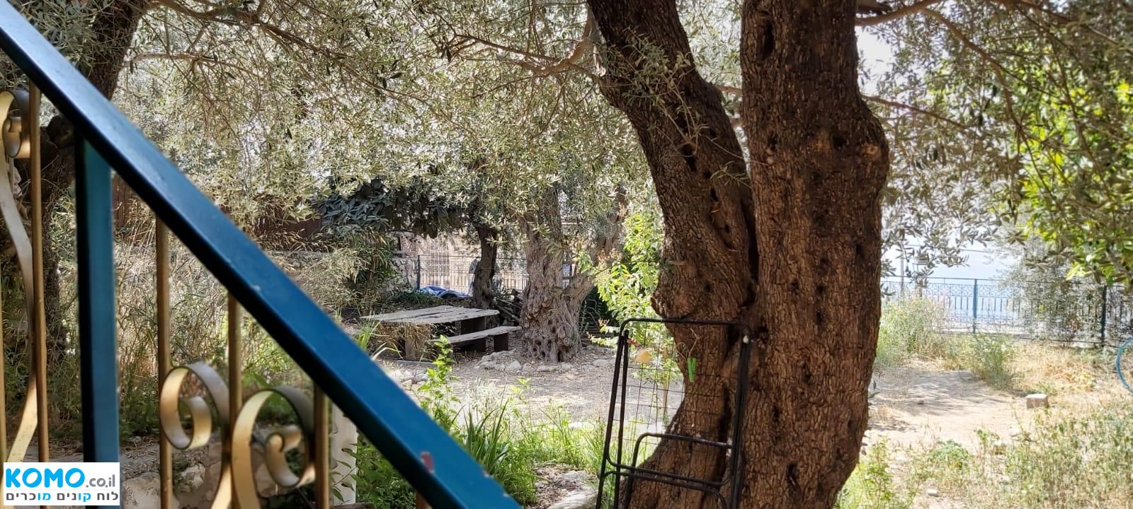 תמונה למודעה