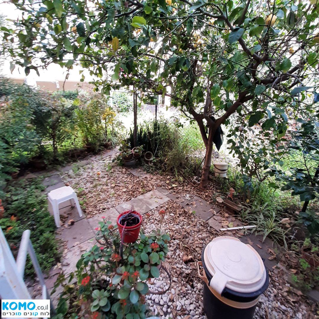 תמונה למודעה