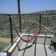 תמונה ראשית