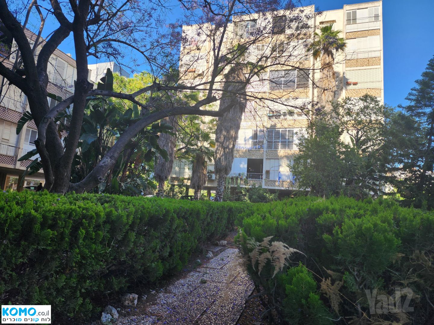 תמונה למודעה