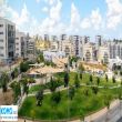 תמונה ראשית