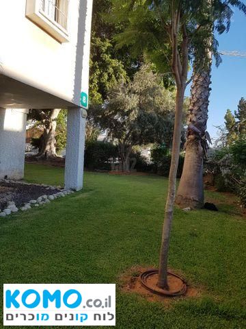 תמונה למודעה