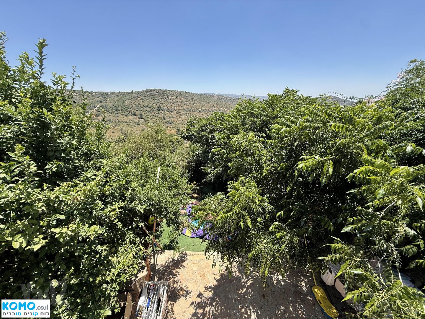 תמונה למודעה
