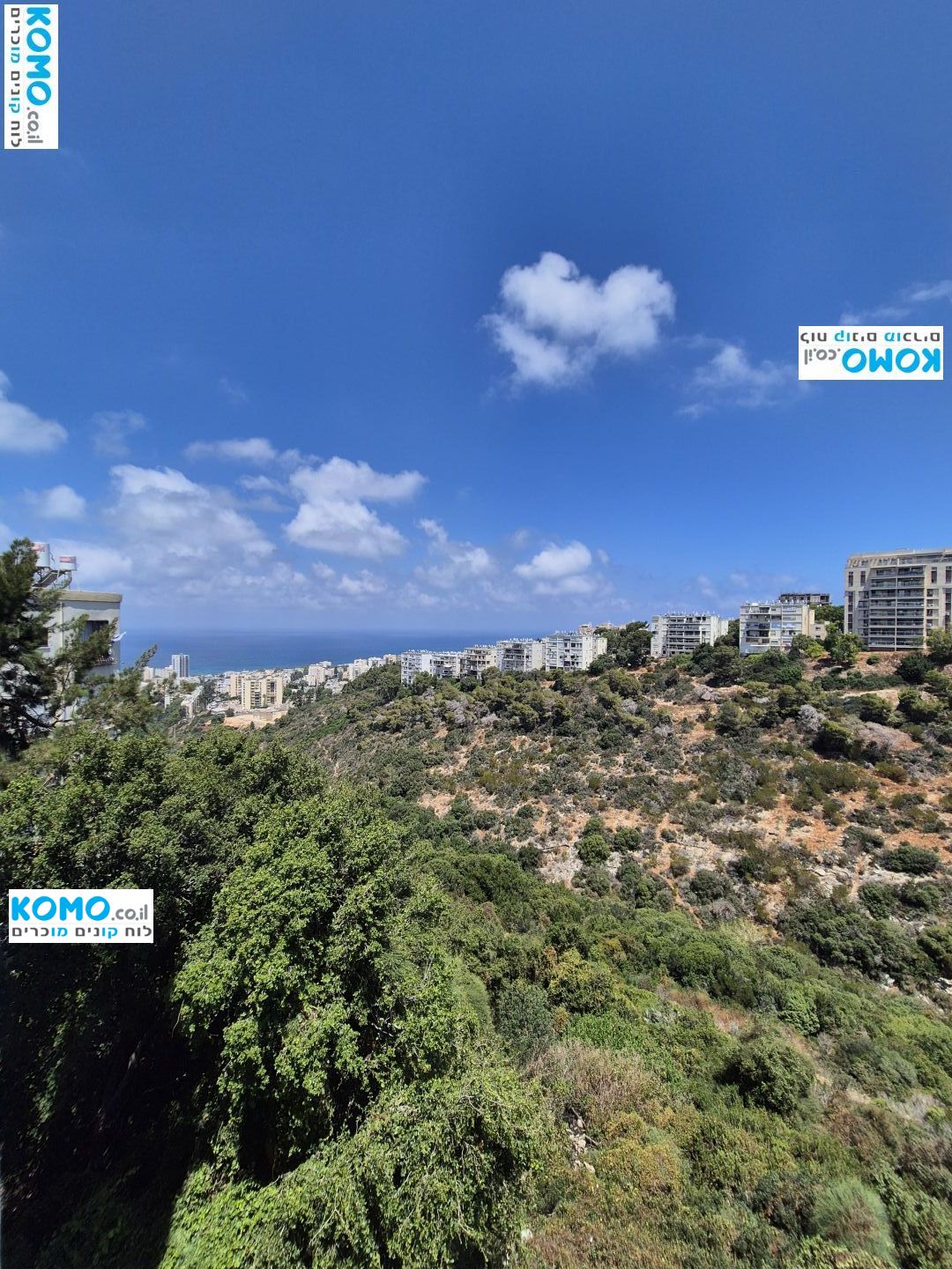 תמונה למודעה