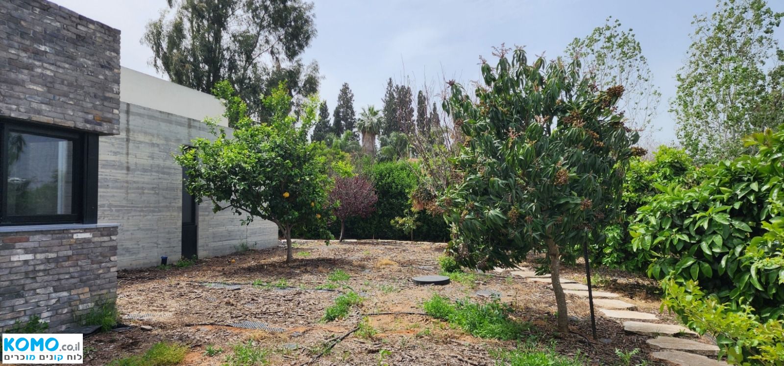 תמונה למודעה