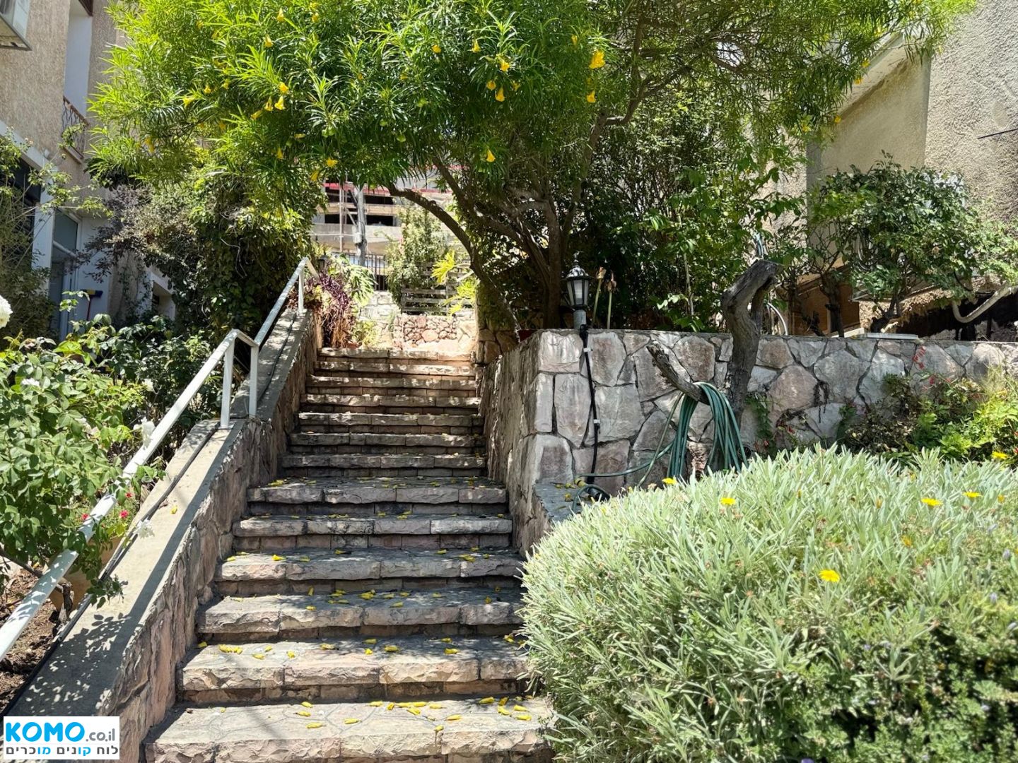 תמונה למודעה