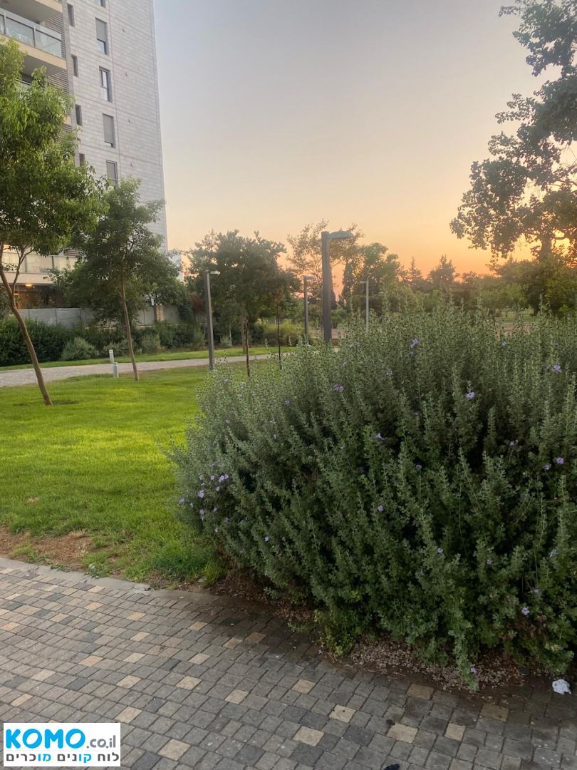 תמונה למודעה