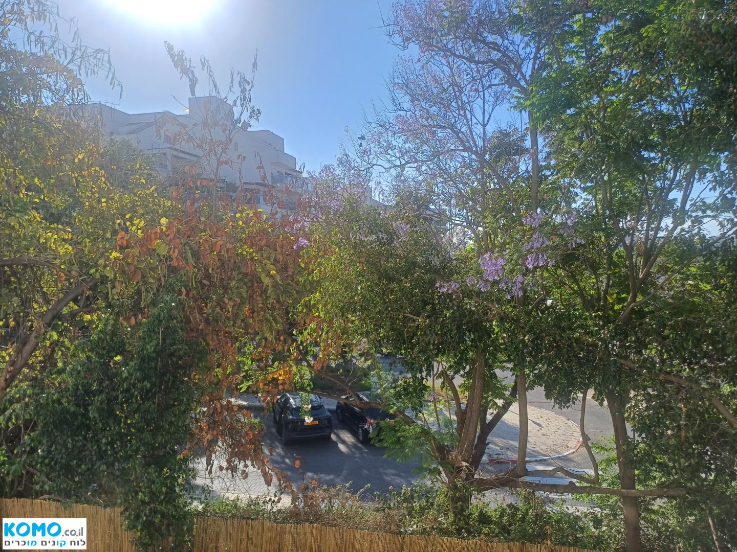 תמונה למודעה