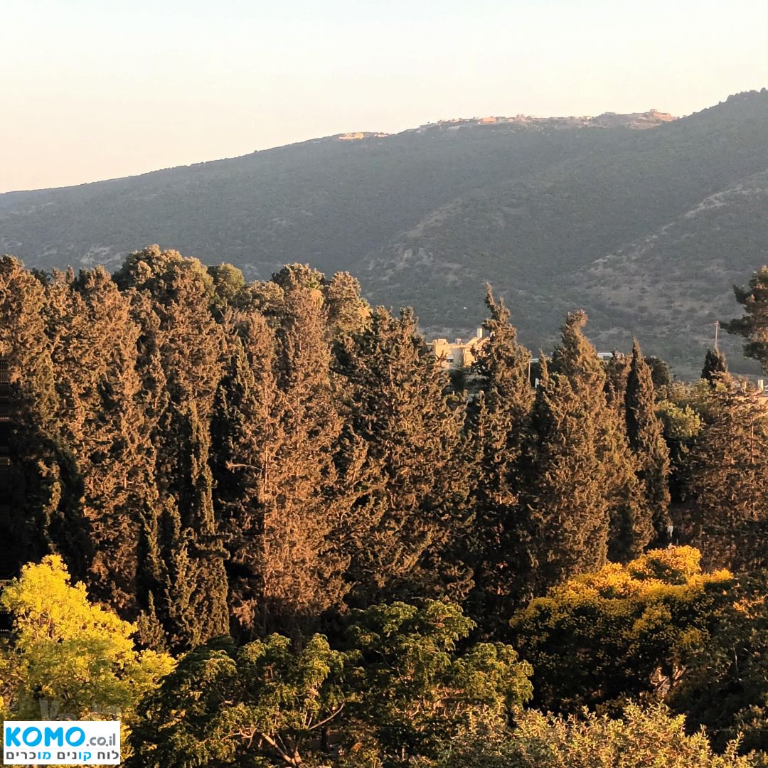 תמונה למודעה