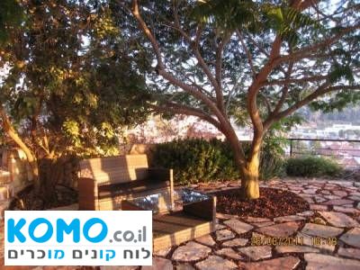 תמונה למודעה