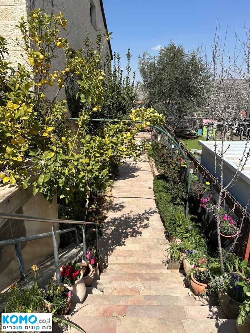 תמונה למודעה