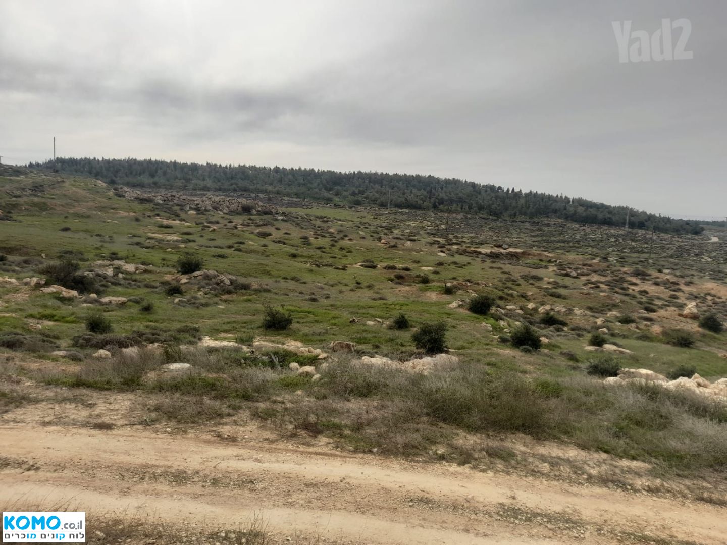 תמונה למודעה