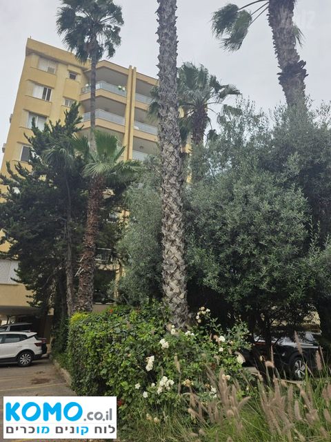 תמונה למודעה