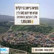תמונה ראשית