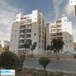 תמונה ראשית