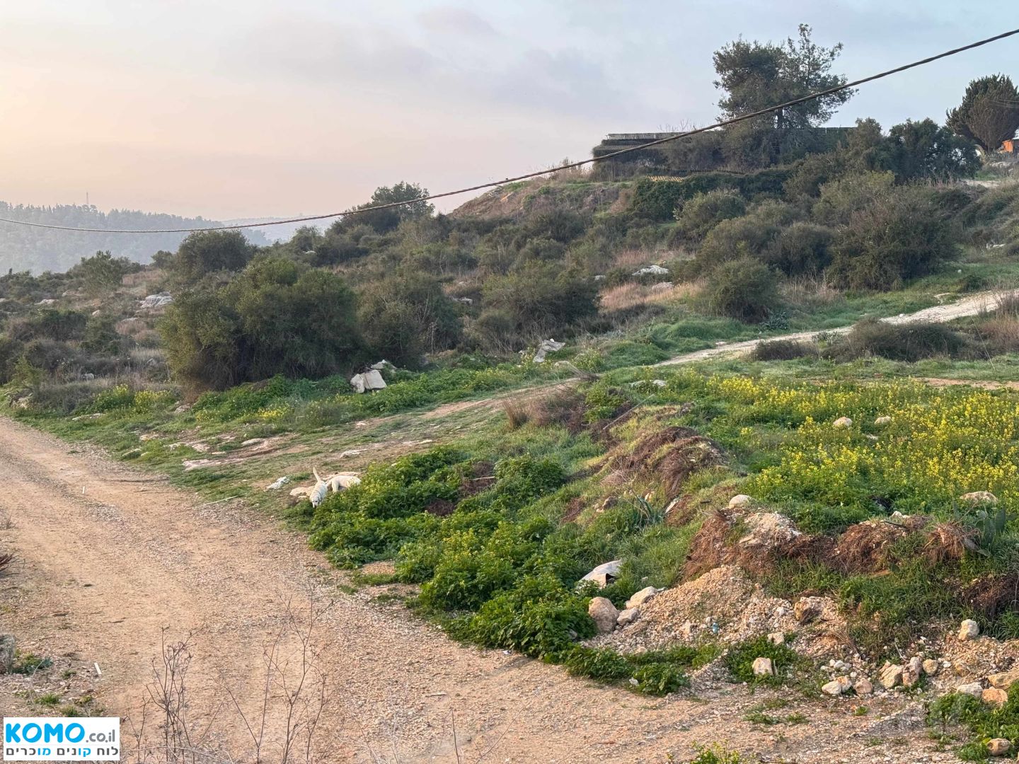תמונה למודעה