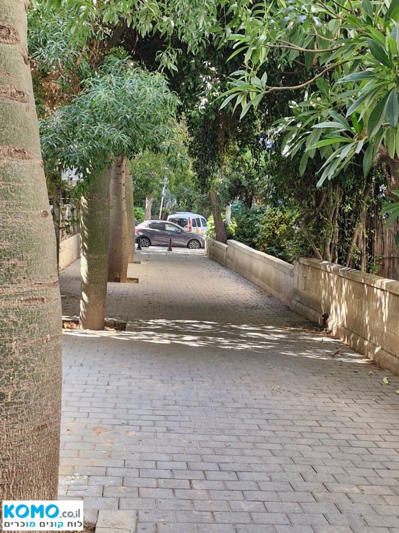 תמונה למודעה