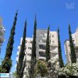 תמונה ראשית