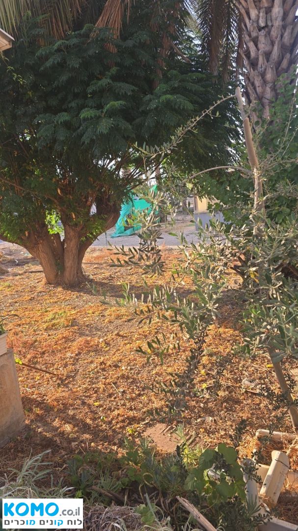 תמונה למודעה