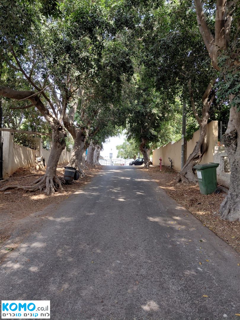 תמונה למודעה
