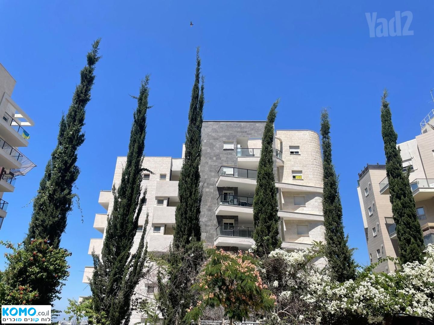 תמונה למודעה