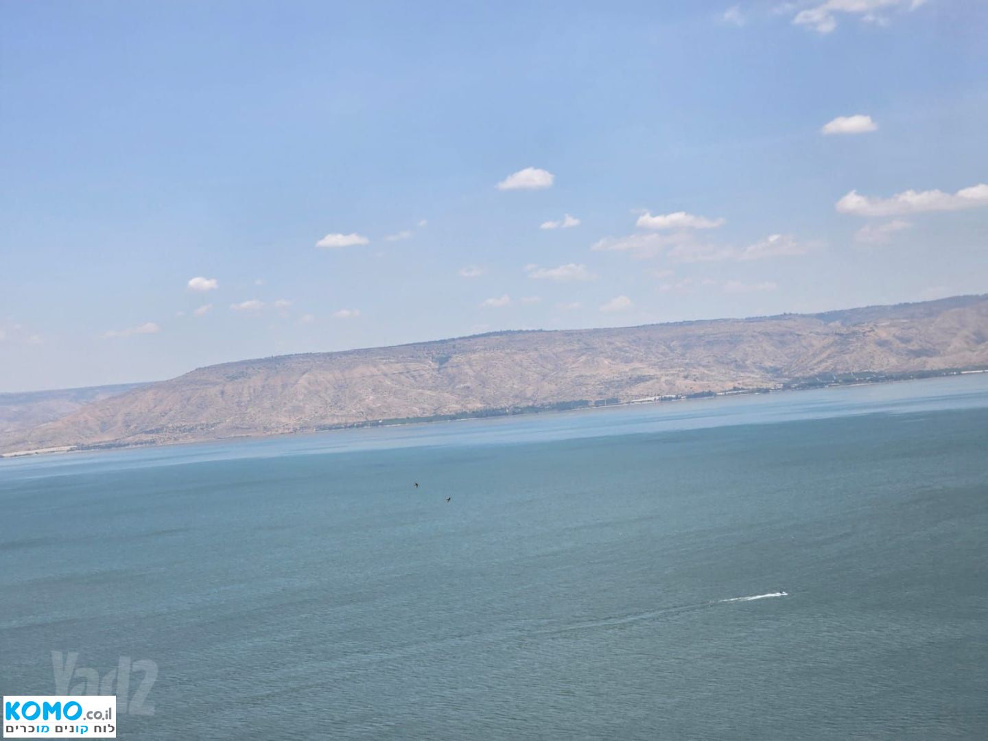 תמונה למודעה