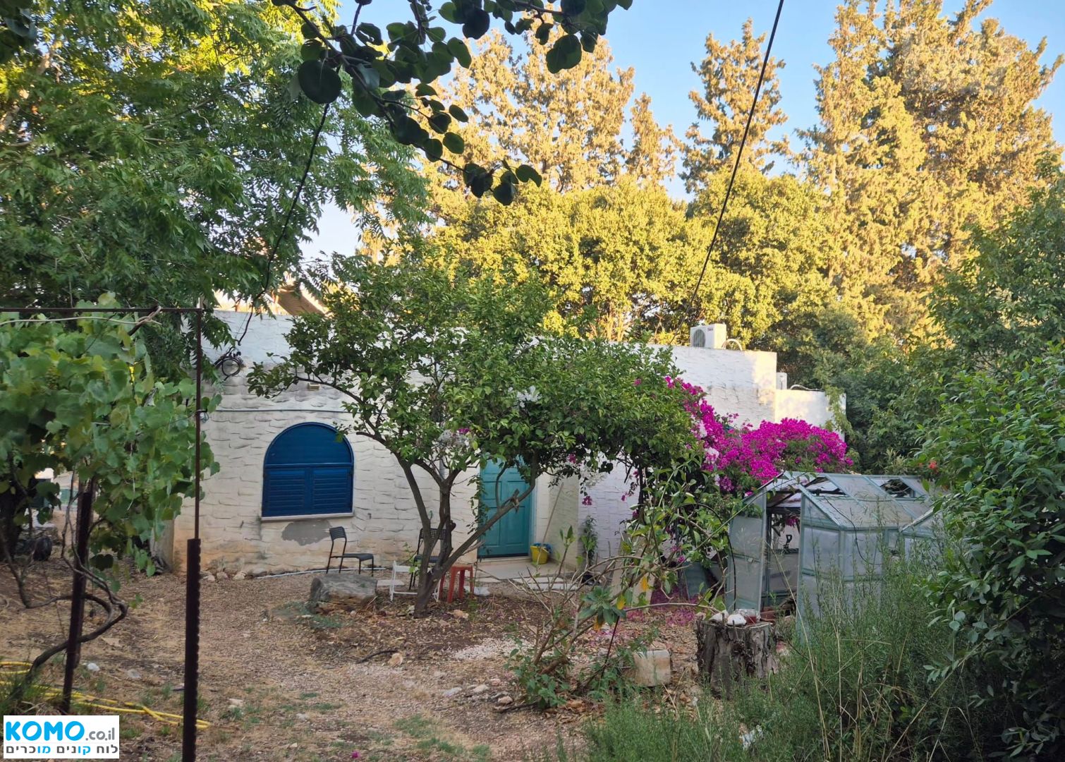 תמונה למודעה