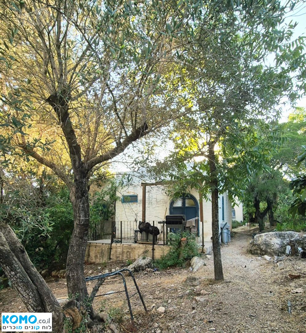 תמונה למודעה