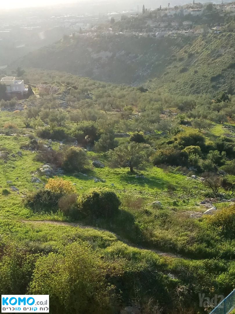 תמונה למודעה