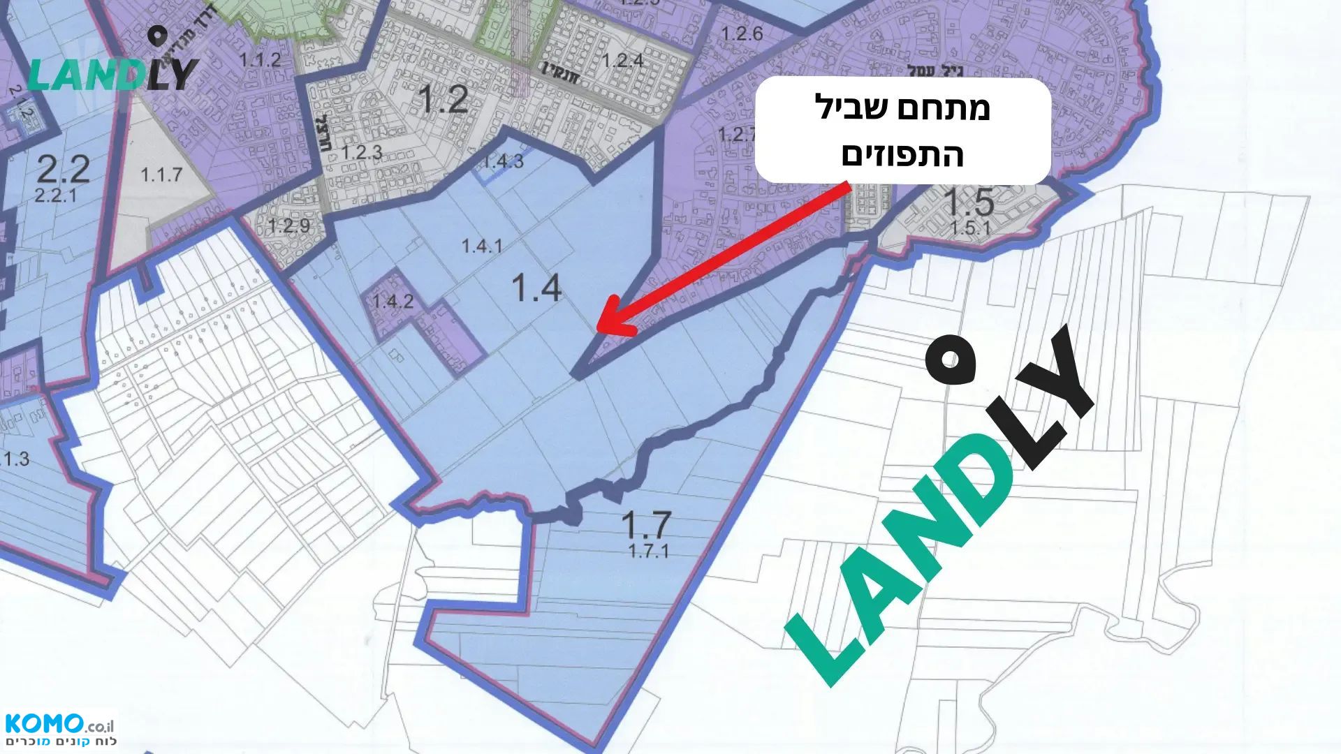 תמונה למודעה